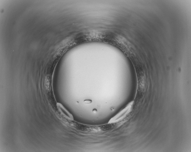 X0000062670715200601041009