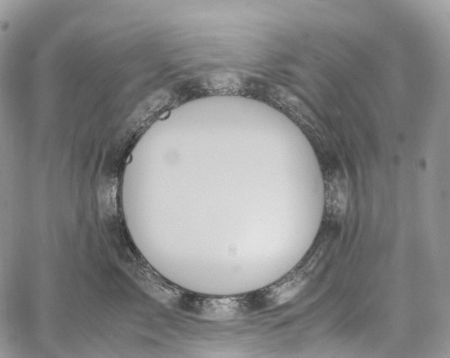 X0000062670717200601041009