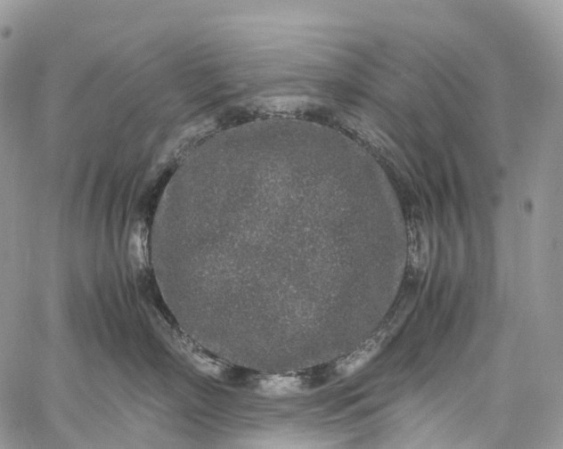 X0000062670718200601041009