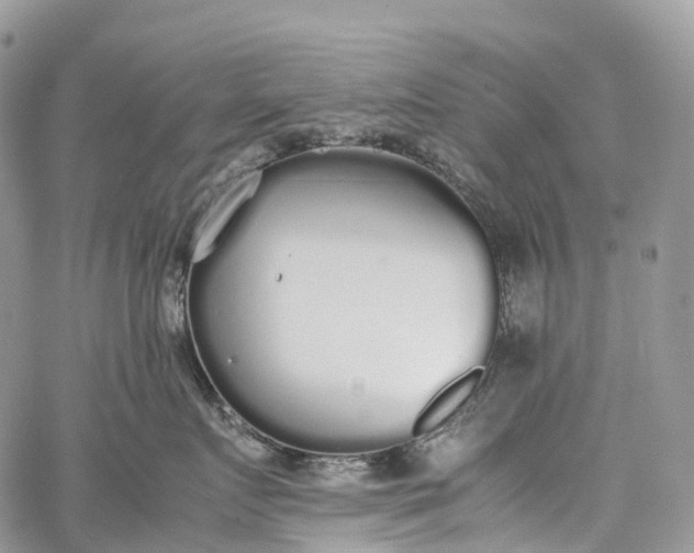 X0000062670719200601041009