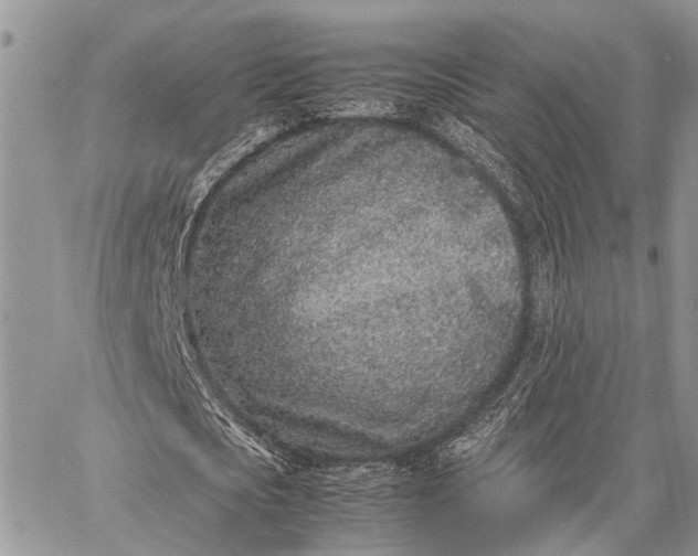 X0000062670721200601041009