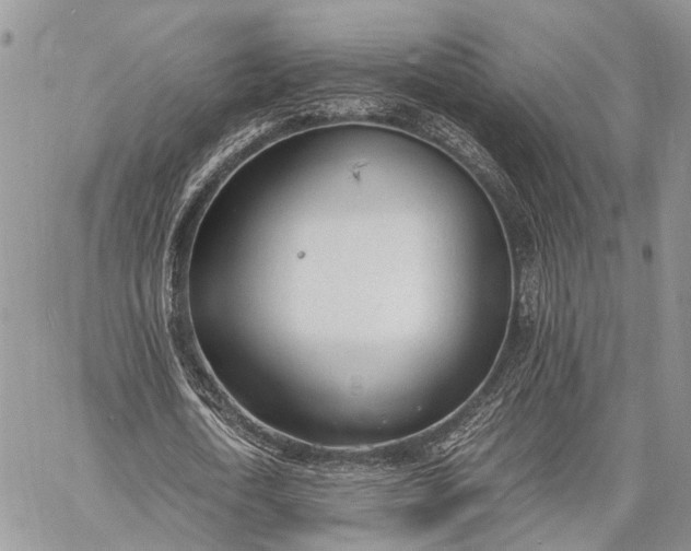 X0000062670722200601041009