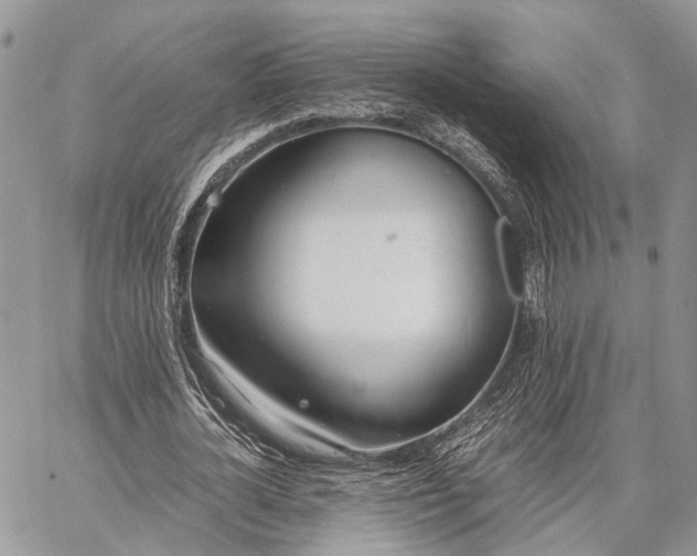 X0000062670724200601041009