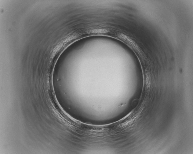 X0000062670725200601041009