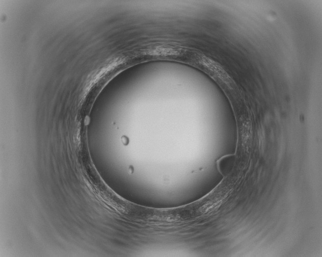 X0000062670727200601041009