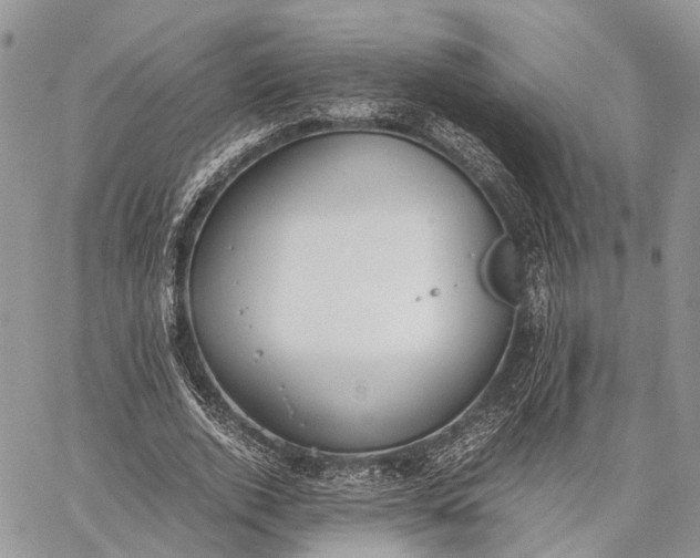 X0000062670728200601041009