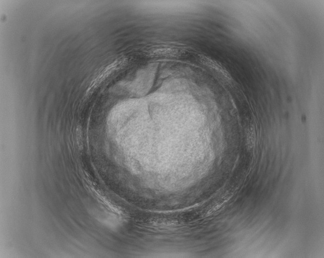 X0000062670729200601041009