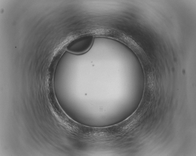 X0000062670730200601041009