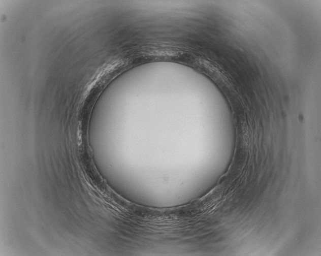 X0000062670731200601041009