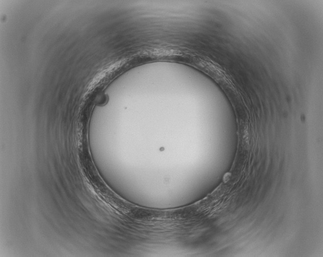 X0000062670732200601041009