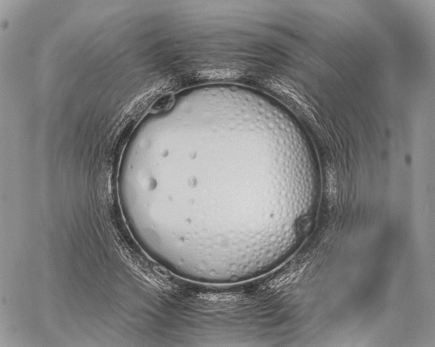 X0000062670733200601041009