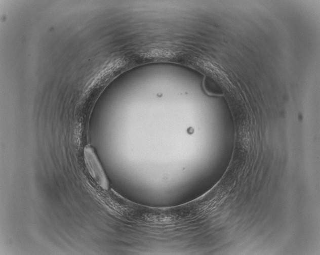 X0000062670735200601041009