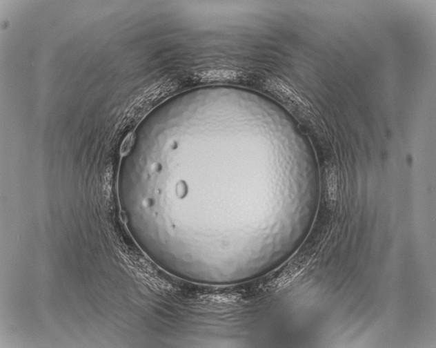 X0000062670737200601041009