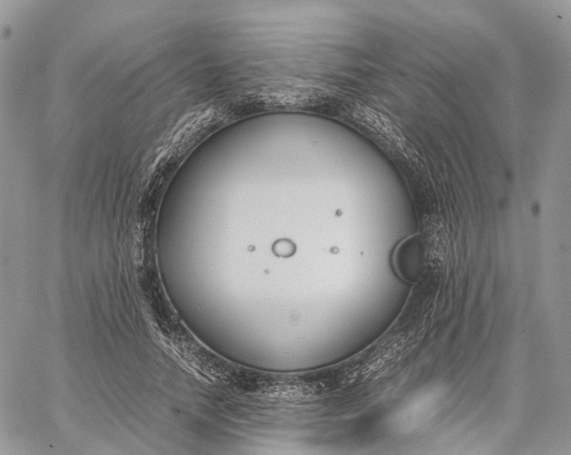 X0000062670738200601041009