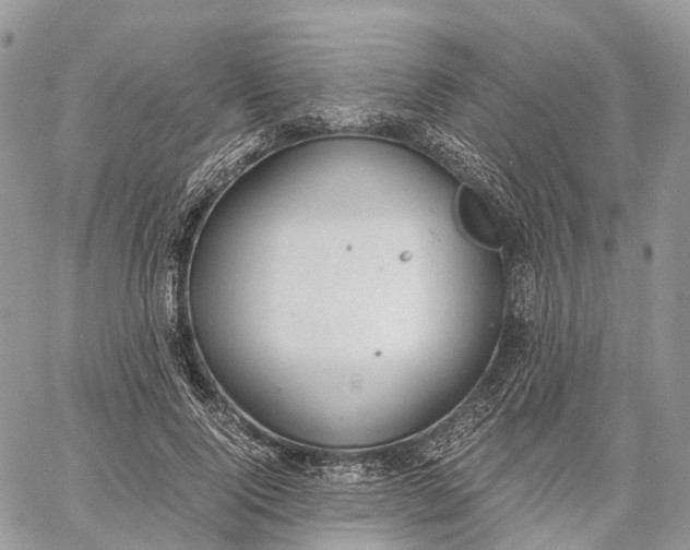 X0000062670740200601041009