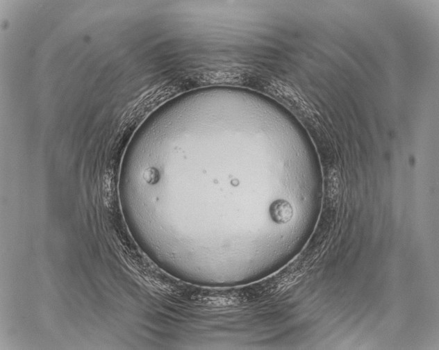 X0000062670741200601041009