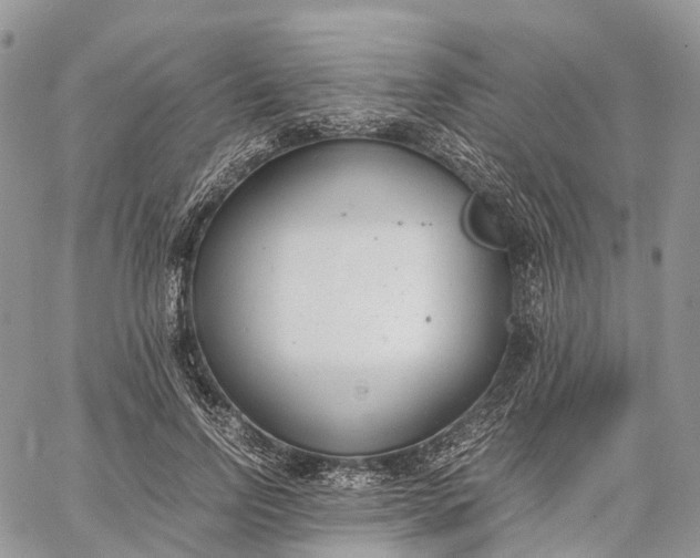 X0000062670742200601041009