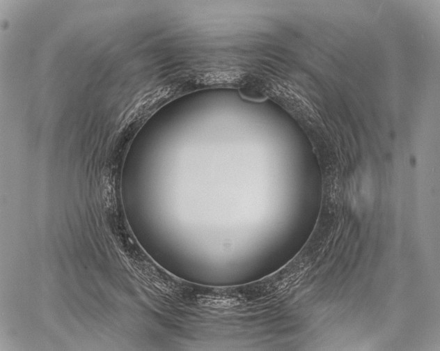 X0000062670743200601041009