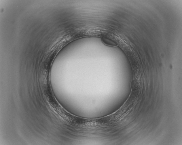 X0000062670744200601041009