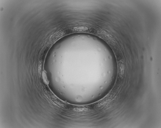 X0000062670745200601041009