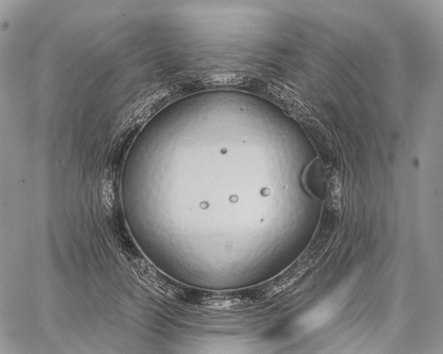 X0000062670746200601041009