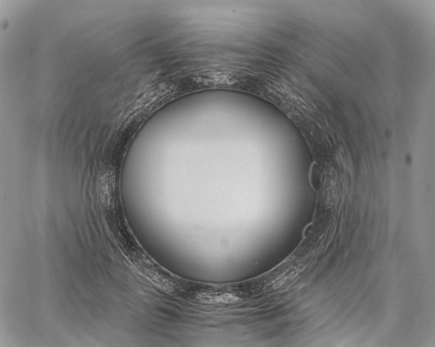 X0000062670747200601041009