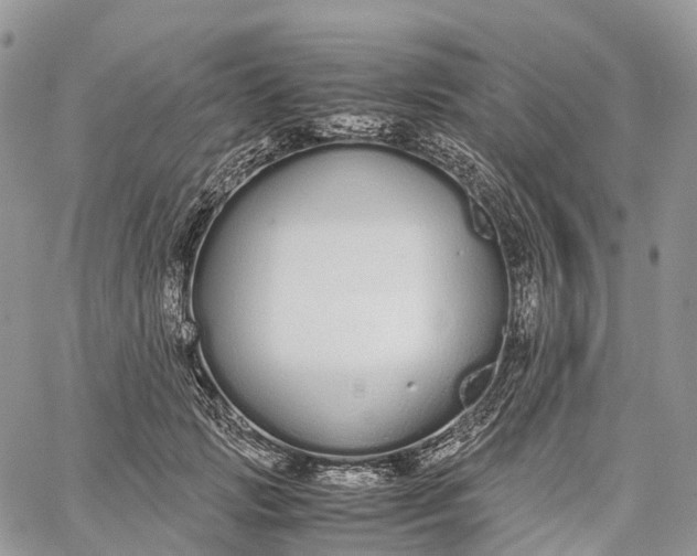 X0000062670749200601041009