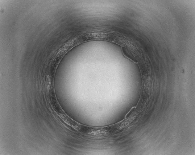 X0000062670752200601041009