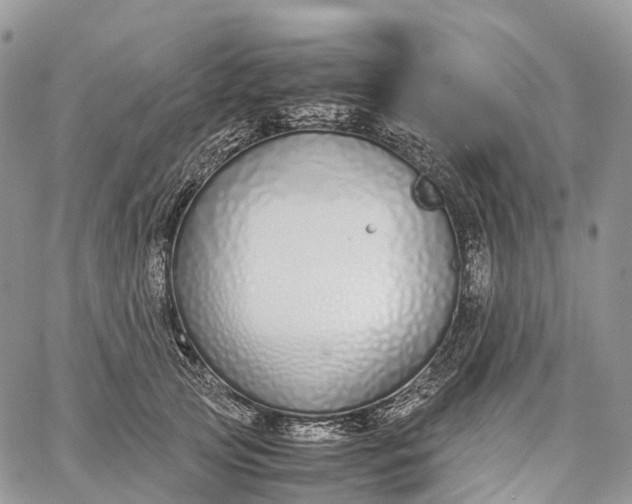 X0000062670753200601041009