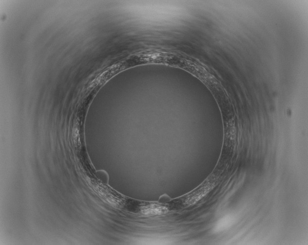 X0000062670754200601041009