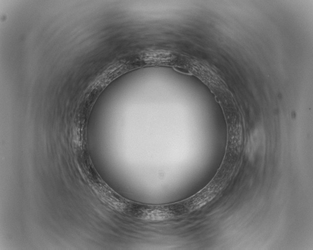 X0000062670755200601041009