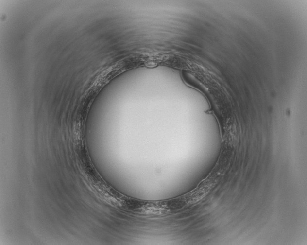 X0000062670756200601041009