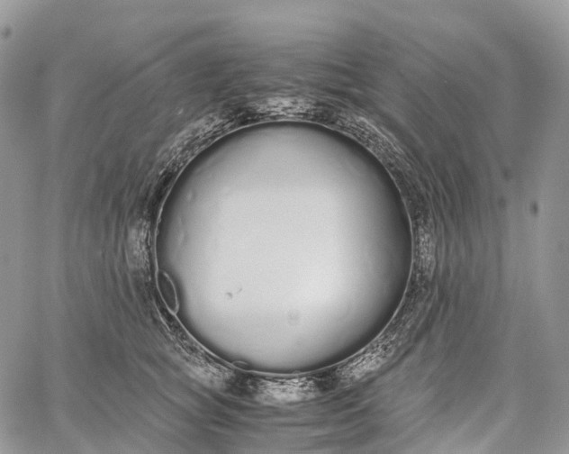 X0000062670757200601041009