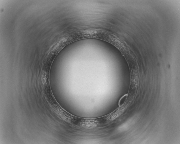 X0000062670758200601041009