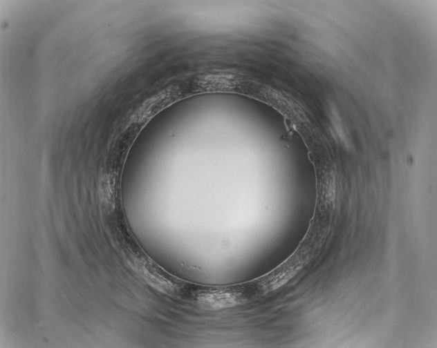 X0000062670759200601041009