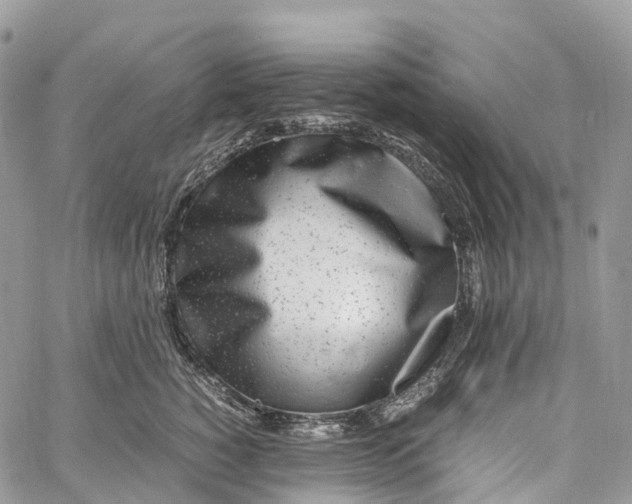 X0000062670760200601041009