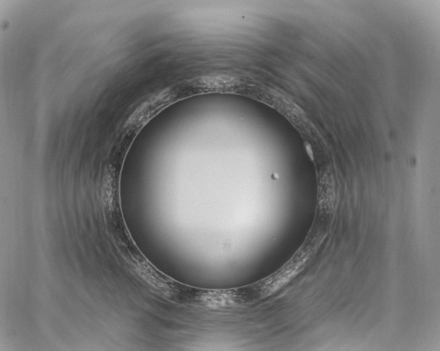 X0000062670762200601041009