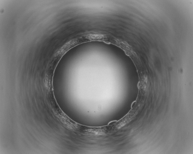 X0000062670763200601041009