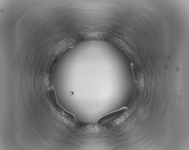 X0000062670764200601041009