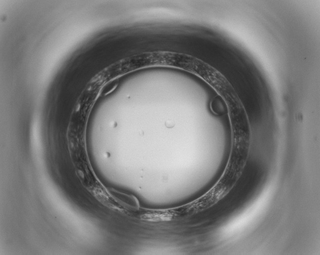 X0000062670765200601041009