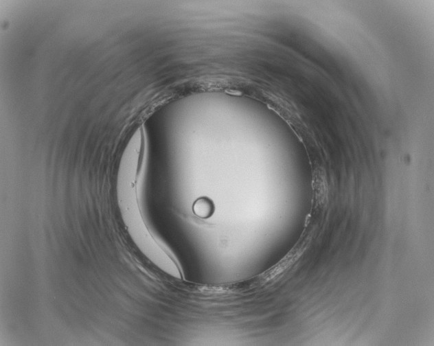 X0000062670766200601041009