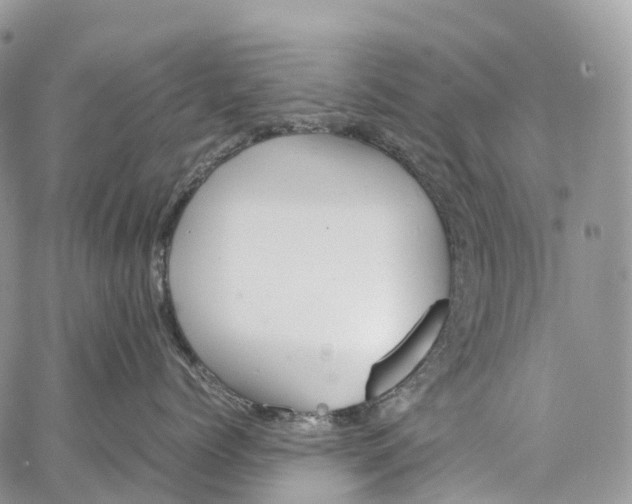 X0000062670768200601041009