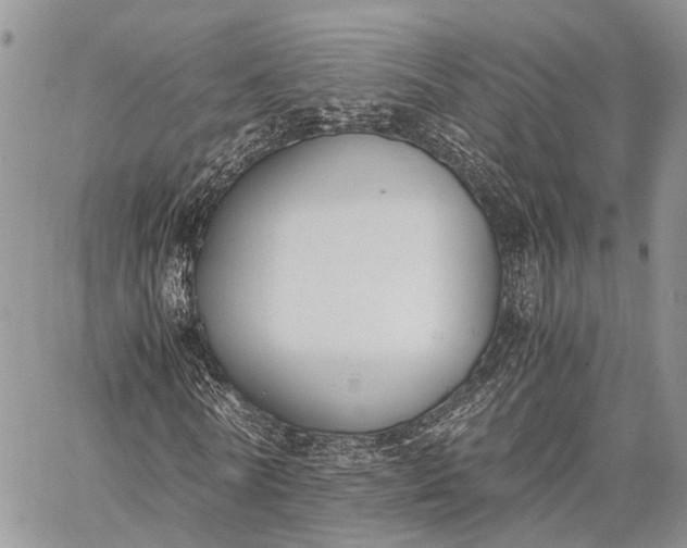 X0000062670770200601041009