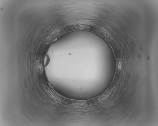 X0000062670771200601041009