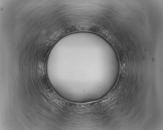 X0000062670772200601041009