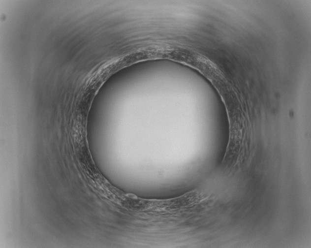 X0000062670773200601041009