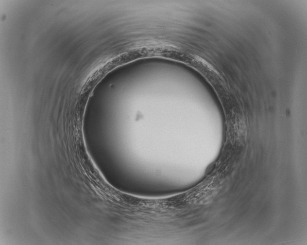 X0000062670775200601041008