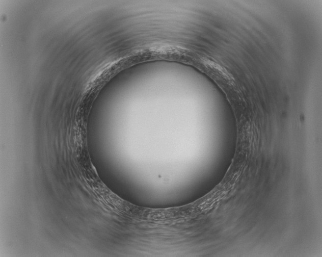 X0000062670776200601041008