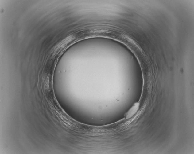 X0000062670777200601041008