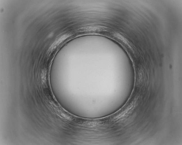 X0000062670778200601041008